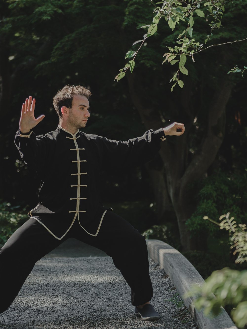 Alexander Litvinoff practicing Chen-style Tai Chi in a Vancouver garden
