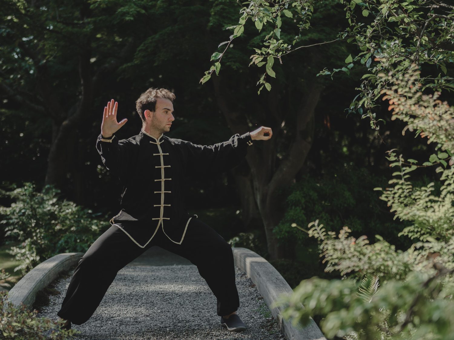 Alexander Litvinoff holding a Chen-style Tai Chi posture, palm extended, in a Vancouver garden